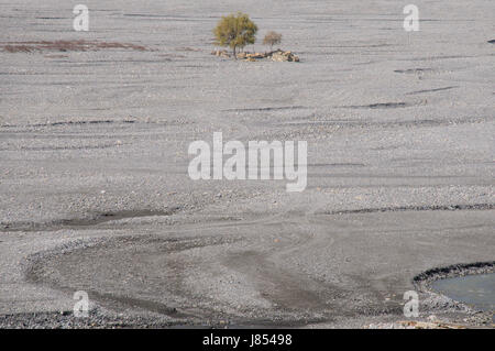 asia ravine river bed nepal mustang himalayas travel tree stone hike go hiking Stock Photo