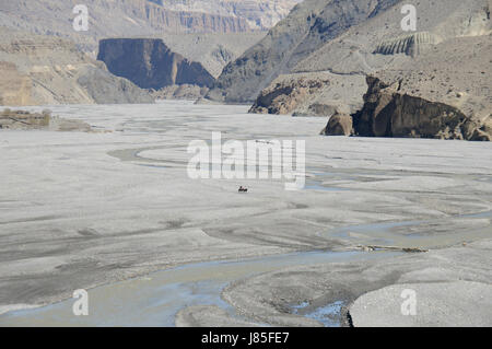 asia ravine river bed nepal mustang himalayas travel stone horse hike go hiking Stock Photo