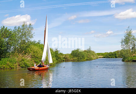 An elderly couple sailing on the Fleet Dike in the Norfolk Broads National Park at South Walsham, Norfolk, England, United Kingdom. Stock Photo