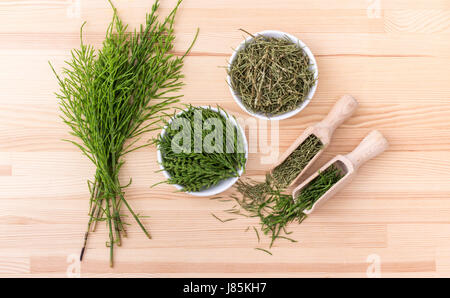 Fresh and dried field horsetail Stock Photo