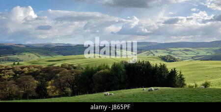 The Offa's Dyke Path, on the border between England and Wales. The view towards the Black Mountains from Hawthorn Hill, near Knighton, Powys, UK Stock Photo