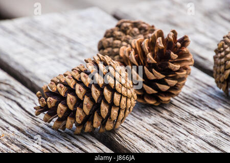 Fir pine cones lying on wood planks Stock Photo