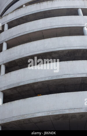Twickenham, UK. 27th May, 2017. A Wasp fans's hat visible above the parapet of concrete stairs outside the stadium before kick off . Wasps lost the match v Exeter Chiefs Credit: On Sight Photographic/Alamy Live News Stock Photo
