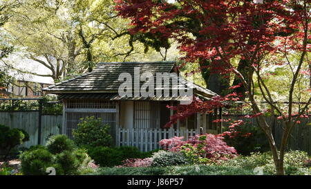 The Arboretum: New Hanover County, Wilmington, NC Stock Photo