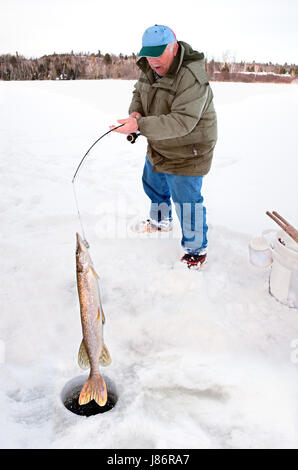 Big Pike Fish Ice Fishing Rod Stock Photo 532221193