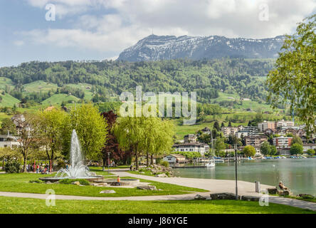 Küssnacht am Rigi at Lake Lucerne, Schwyz Switzerland Stock Photo