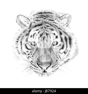 Hand drawn portrait of cute tiger girl cat in clothing. Watercolor