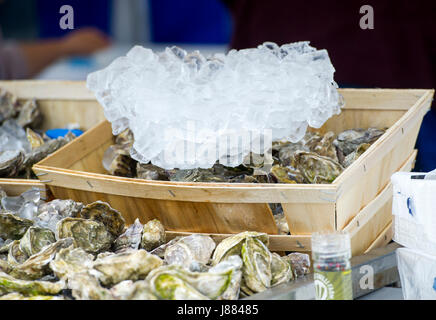 Brighton UK 27th May 2017 - Oyserts on ice at the Brighton and Hove Oysters on ice for sale at Brighton and Hove Food and Drink Festival 2017 Stock Photo