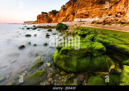 Green Stones at Porto de Mos Beach in Lagos, Algarve, Portugal Stock Photo