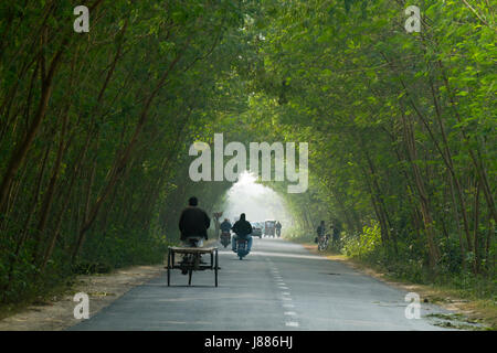 Kushtia-Meherpur highway. Meherpur, Bangladesh Stock Photo