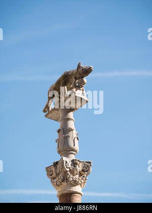 Siena She-Wolf sculpture in the Duomo square Stock Photo