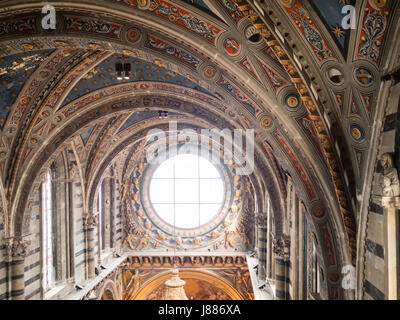 Duomo di Siena colourful ceiling details Stock Photo