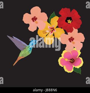 vector illustration of floral background with tropical flowers, hummingbirds Stock Vector