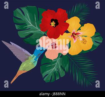 vector illustration of floral background with tropical flowers, hummingbirds Stock Vector