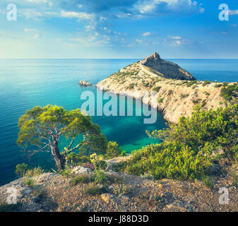Summer landscape in mountains on seashore. Amazing view on the green tree, mountains, sea with turquoise water and colorful blue sky at sunrise. Trave