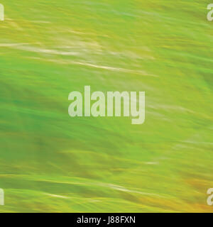 Motion Blurred Bright Meadow Grass Background, Abstract Green, Yellow, Amber Horizontal Texture Pattern Copy Space Stock Photo