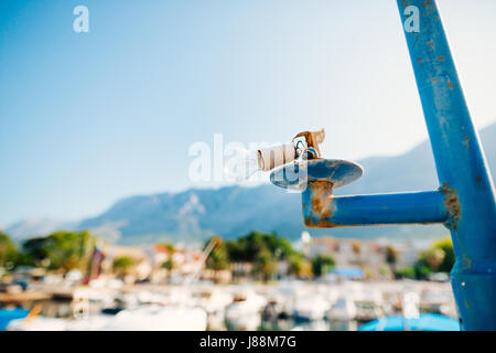 Bulb in white E27 in the lamp-post on stolbe.Na blue boat moorage. Lighting fishing harbor. Stock Photo