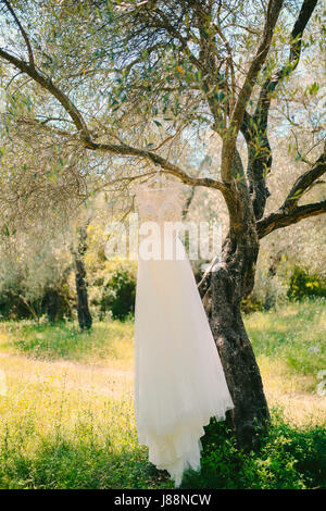 The bride's dress hangs on a hanger on an olive tree. Collecting brides in an olive grove in Montenegro. Wedding in Europe.