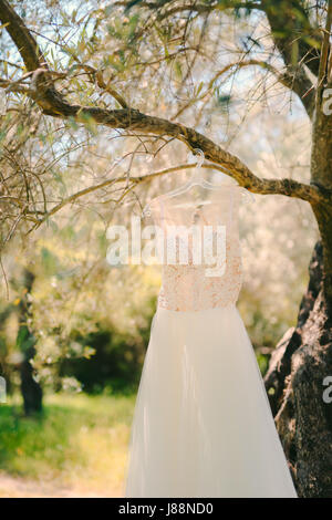 The bride's dress hangs on a hanger on an olive tree. Collecting brides in an olive grove in Montenegro. Wedding in Europe.