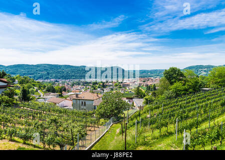 Chiasso, Ticino canton, Switzerland. View from above, on a beautiful sunny day. In the foreground vineyards on the hills surrounding Chiasso Stock Photo