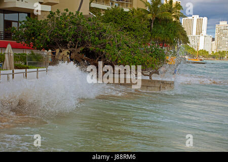 Record high tides or king tides in Waikiki Beach in May 2017, Oahu, Hawaii Stock Photo