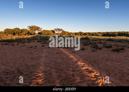 Namibia, Waterberg plateau Stock Photo