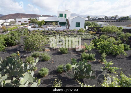 A traditional house and garden, Lanzarote, Canary Islands, Spain Stock Photo
