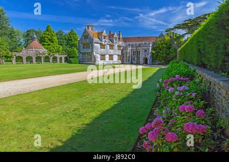 A border of pink hydrangeas lead up to Athelhampton House, Dorset, England Stock Photo