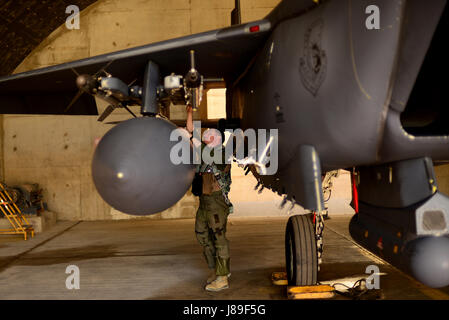 U.S. Air Force Colonel Evan Pettus, 48th Fighter Wing commander, Royal Air Force Lakenheath, England, conducts a pre-flight inspection of his F-15E Strike Eagle in support of exercise Juniper Falcon May 8, at Uvda Air Base, Israel. Pettus flew a training sortie with Israeli air force designed to improve interoperability between U.S. and Israeli air capabilities. (U.S. Air Force photo/ Tech. Sgt. Matthew Plew) Stock Photo