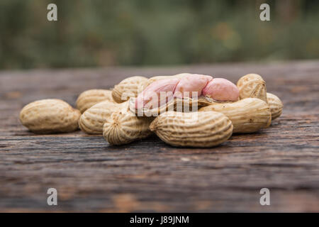 peanuts in shells with fresh groundnut on wooden on nature background Stock Photo