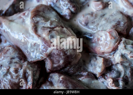 Greek Marinated Chicken Stock Photo