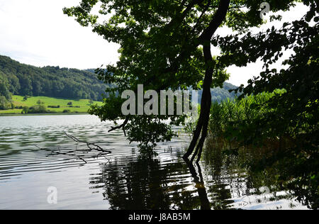 romantic, switzerland, quiet, reflections, idyllic, salt water, sea, ocean, Stock Photo