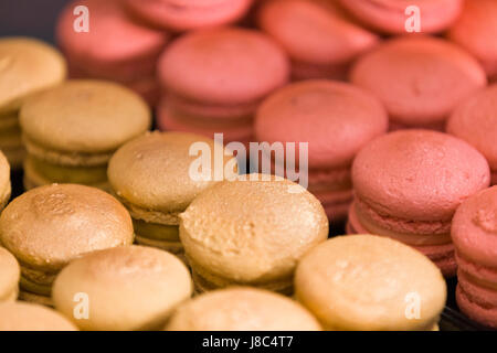 French macaroons are ready to eat. Stock Photo