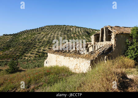 Ruin of old andalusian farmhouse inland, mediterranean house, with olive trees, Andalusia, Spain Stock Photo