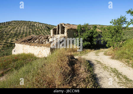 Ruin of old andalusian farmhouse inland, mediterranean house, with olive trees, Andalusia, Spain Stock Photo