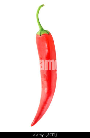 Chilli photographed closeup isolated on a white background Stock Photo