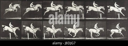 Eadweard Muybridge   Jumping horse Stock Photo