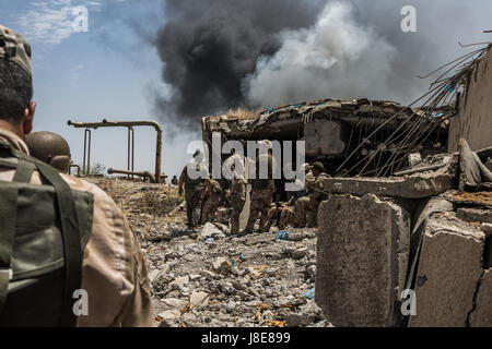 Al-Shifa, Mosul, Iraq. 28th May, 2017. Iraqi army soldiers of the 9th and 16th divisions during fighting against Islamic State (IS) in Al-Shifa, Mosul, Iraq, 28 May 2017. The front in the Al-Shifa neighbourhood, in the west of Mosul, is one of three fronts newly opened up by the Iraqi army, in order to increase pressure on IS. Photo: Andrea DiCenzo/dpa/Alamy Live News Stock Photo