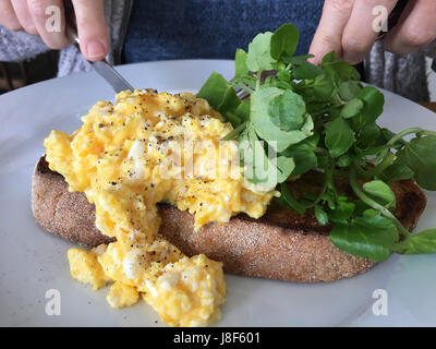 Woman eating scrambled eggs on toast with pea shoot salad Stock Photo
