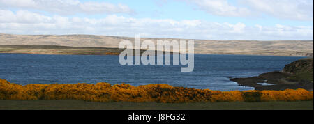 Falkland Islands Stock Photo