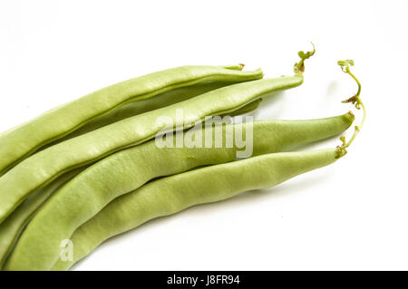 Green bean sample on white background, green bean pictures Stock Photo