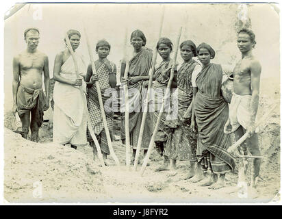 This photograph shows a group of male and female workers in South India, engaged in various tasks. It reflects the labor practices and societal structure of the region during the period in which it was taken. Stock Photo