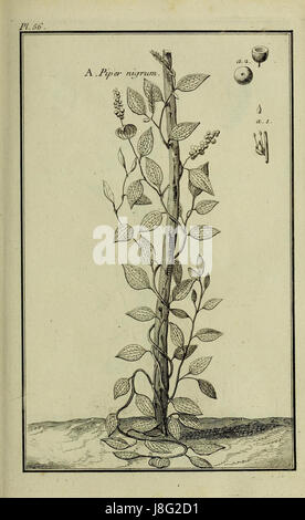 Description, vertus et usages de sept cents dix neuf plantes (10610070154)