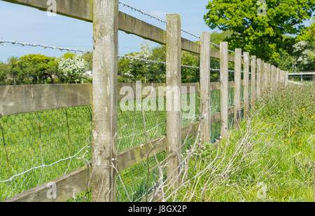Wooden fence with barbed wire on the edge of a field in the UK. Stock Photo