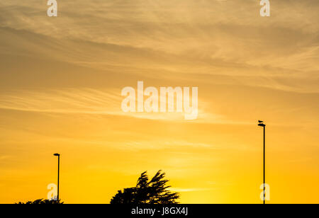 Orange sky in late evening after the sun has set. Stock Photo