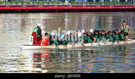 KAOHSIUNG, TAIWAN -- MAY 21, 2017: The China Post team trains on the Love River in preparation for the upcoming Dragon Boat Festival. Stock Photo