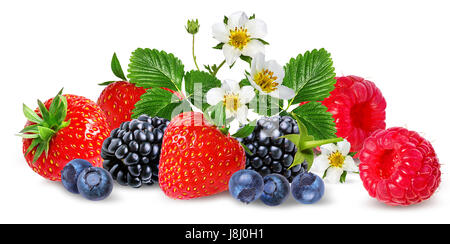 strawberry,raspberry,blackberry, bilberry, blueberries isolated on white background Stock Photo