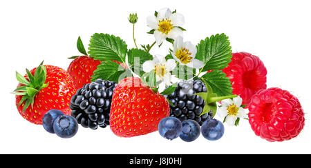 strawberry,raspberry,blackberry, bilberry, blueberries isolated on white background Stock Photo