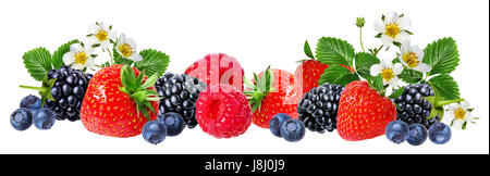 strawberry,raspberry,blackberry, bilberry, blueberries isolated on white background Stock Photo