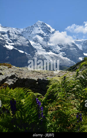 mountains, switzerland, monk, virgin, big, large, enormous, extreme, powerful, Stock Photo